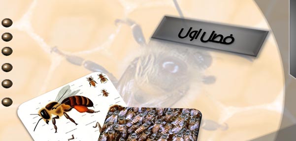 پروژه بررسی لانه سازی زنبورعسل و مرغ تاق نصرت