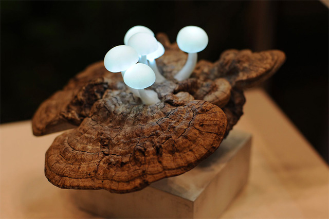 LED-mushrooms-9