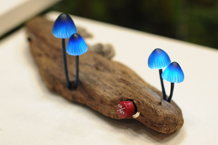 mushrooms-3