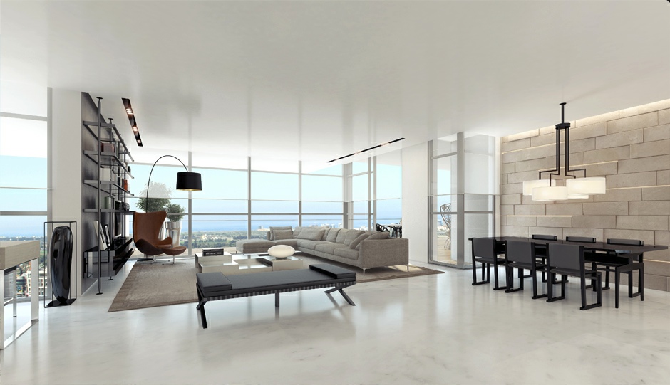 Contemporary-gray-white-living-room