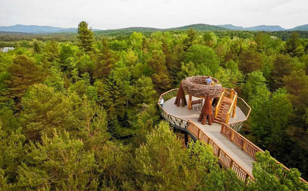 طراحی پلی هیجان انگیز بر فراز جنگل های ملی نیویورک!