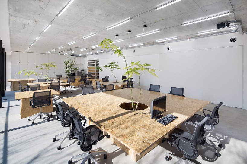 طراحی داخلی فروشگاه و دفتر در شهر توکیو با بهره گیری از معماری سبز